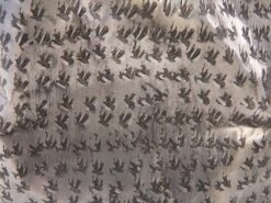 Tavolino Legno Chiaro/argento 38 Cm GORDON 19 Tavolino Legno Chiaro/argento 38 Cm GORDON -Beliani undef src sa picid 678508 type whitesh image