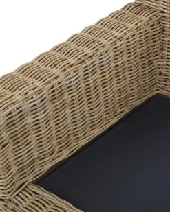 Set Di 2 Poltrone Rattan Naturale Bianco ARDEA -Beliani undef src sa picid 785378 type whitesh image