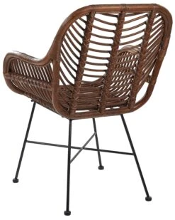 Sedia Rattan Marrone CANORA 12 Sedia Rattan Marrone CANORA -Beliani undef src sa picid 799501 type whitesh image