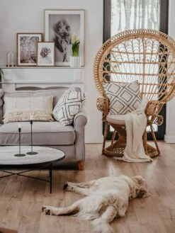 Poltrona Rattan Naturale Beige EMMANUELLE 15 Poltrona Rattan Naturale Beige EMMANUELLE -Beliani undef src sa picid 800784 type whitesh image