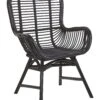Sedia Rattan Nero TOGO 2 Sedia Rattan Nero TOGO -Beliani undef src sa picid 801308 type whitesh image