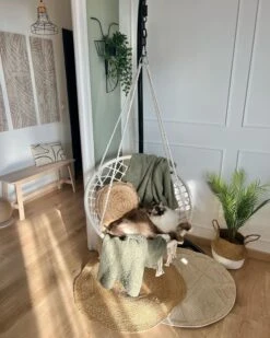 Supporto Per Poltrona Sospesa Color Nero STAN 11 Supporto Per Poltrona Sospesa Color Nero STAN -Beliani undef src sa picid 851273 type whitesh image