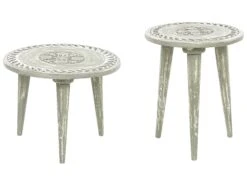 Set Di 2 Tavolini Da Caffè Legno Di Mango Verde Chiaro EKAMBA